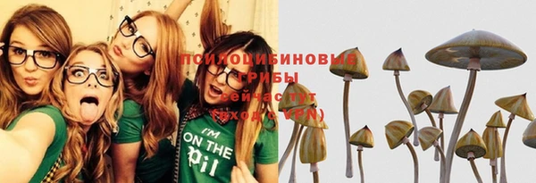СК Медвежьегорск