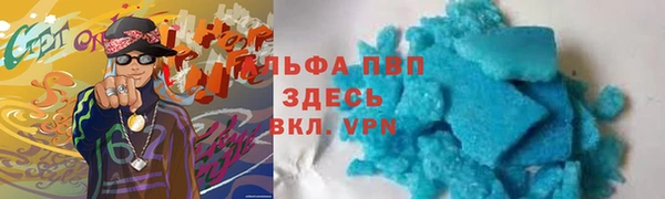 СК Медвежьегорск