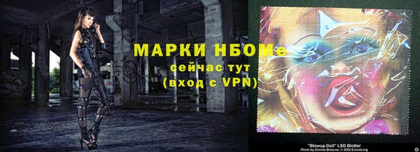 СК Медвежьегорск